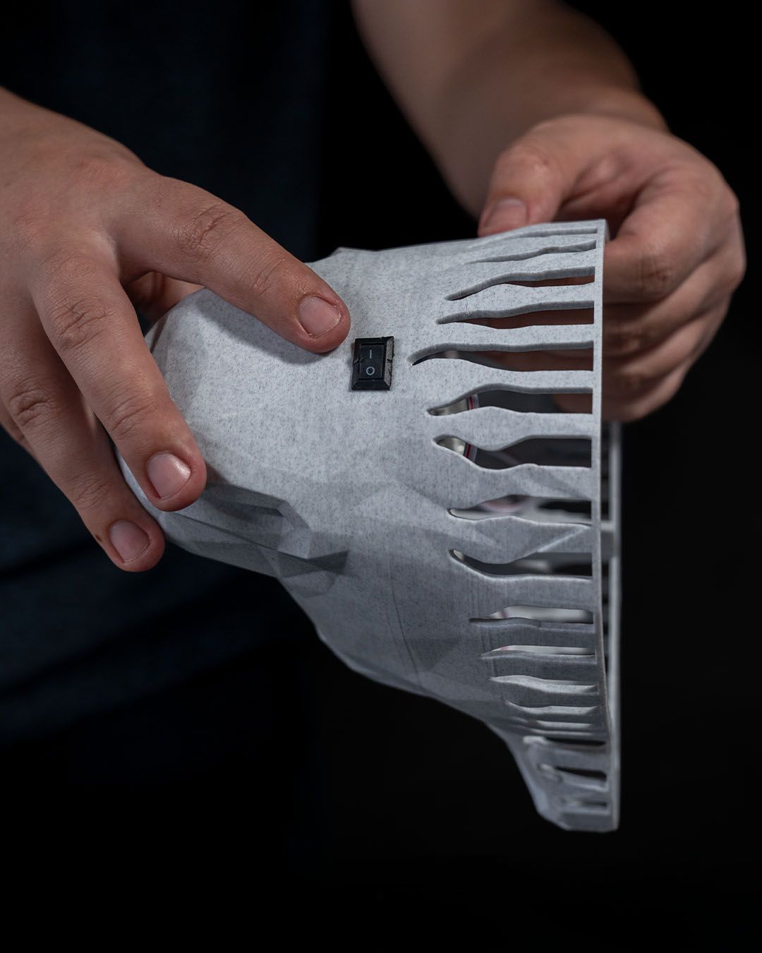 Great Lion Wall Projection Lamp - LetterLamps